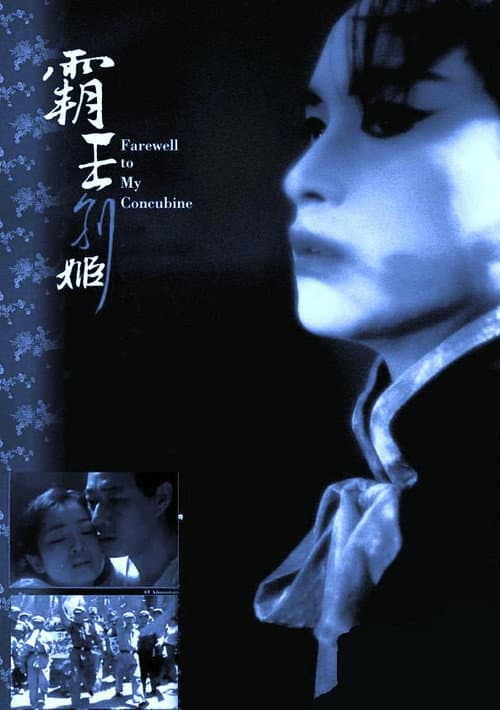 Ba Wang Bie Ji (1993) poster