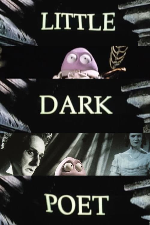 Little Dark Poet (1999) poster