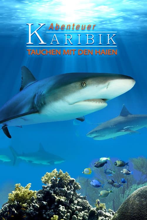Abenteuer Karibik 3D: Tauchen Mit Den Haien (2012) poster