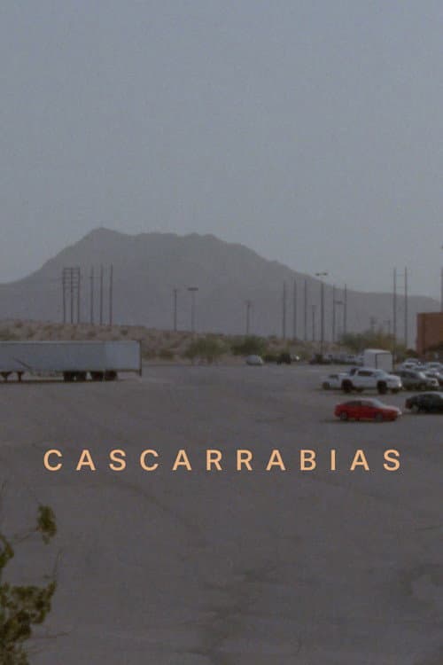Cascarrabias (2026) poster
