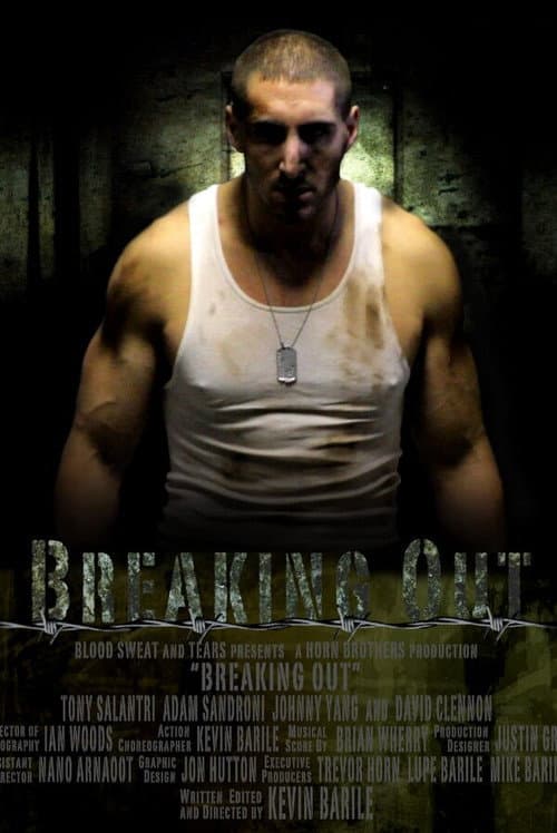 Breaking Out (2010) poster