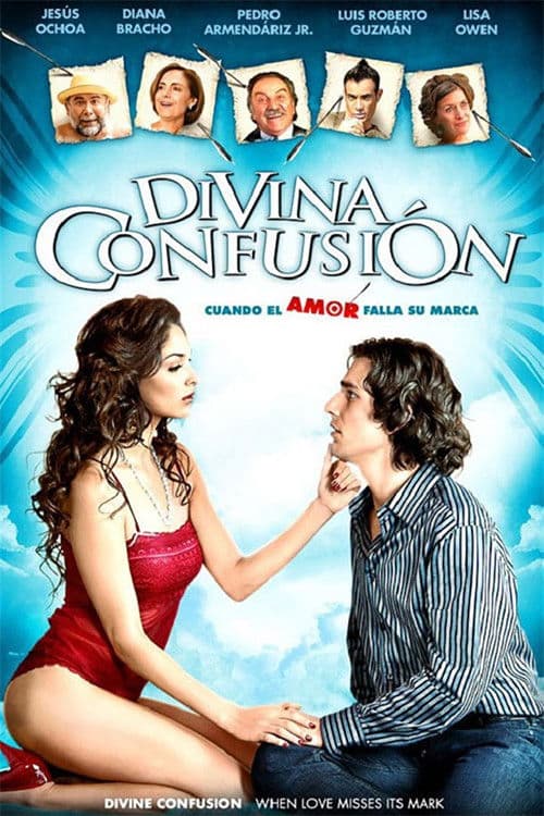Divina confusión (2008) poster