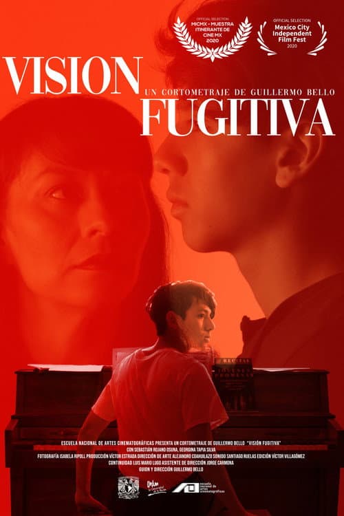 Visión Fugitiva (2020) poster