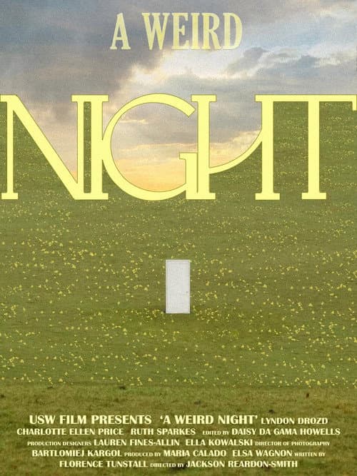 A Weird Night (2026) poster
