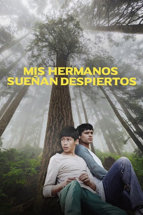Mis hermanos sueñan despiertos (2021) poster