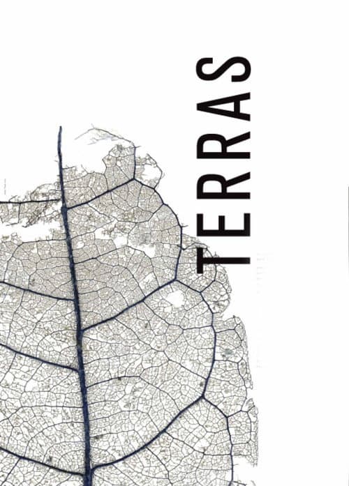 Terras (2009) poster