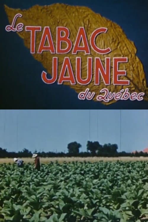 Le tabac jaune du Québec (1951) poster