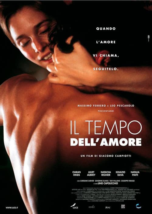 Il tempo dell'amore (1999) poster