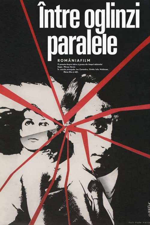 Între oglinzi paralele (1979) poster