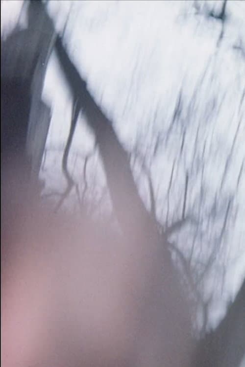 Sensitométrie IV (1976) poster