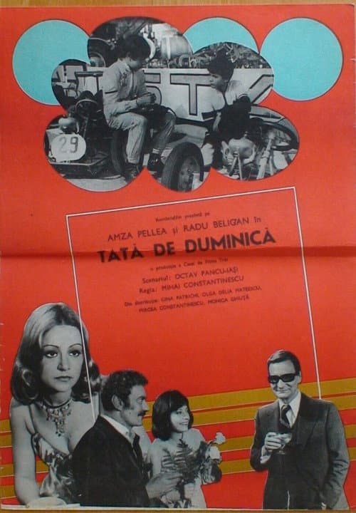 Tată de duminică (1975) poster