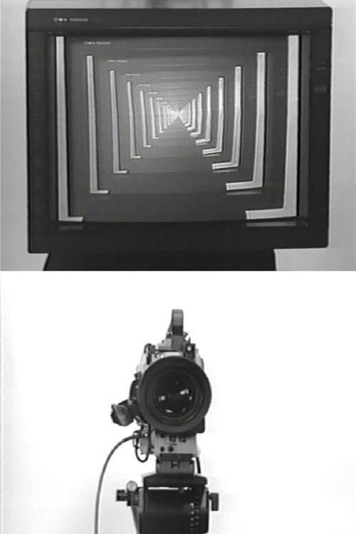 Observer / Observed (1975) poster