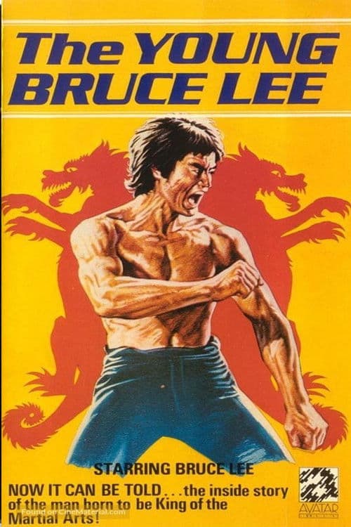 The Young Bruce Lee (1976) poster