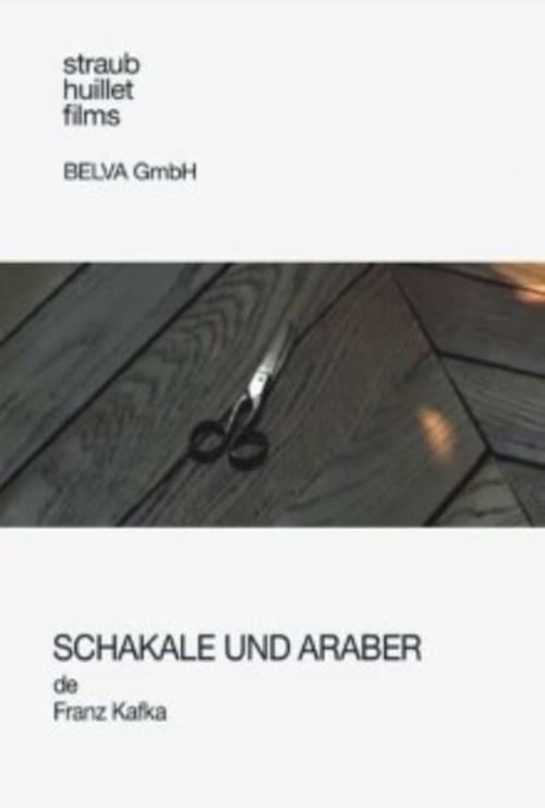 Schakale und Araber (2011) poster