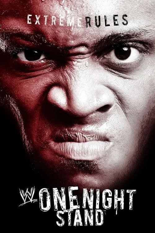 WWE One Night Stand 2007 (2007) poster