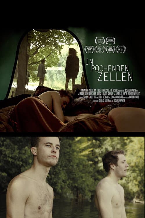 In Pocheden Zellen (2017) poster