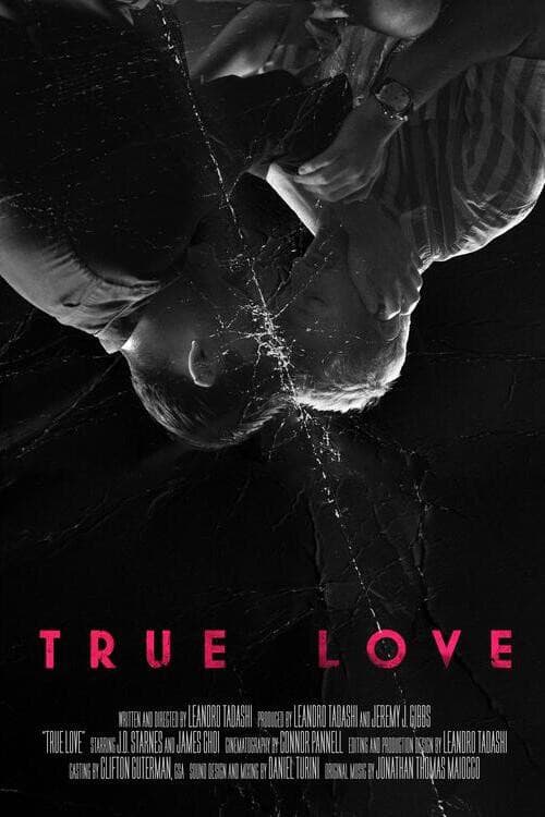 True Love (2026) poster