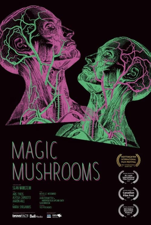 Magic Mushrooms (2017) poster