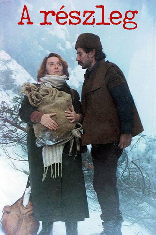 A részleg (1995) poster