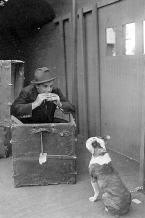 The Dog in the Baggage Car (1913) poster