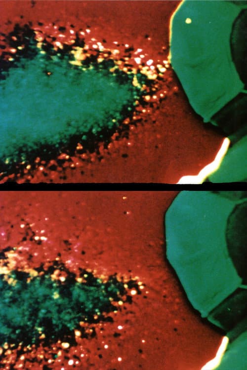 Out of the Ether (2004) poster