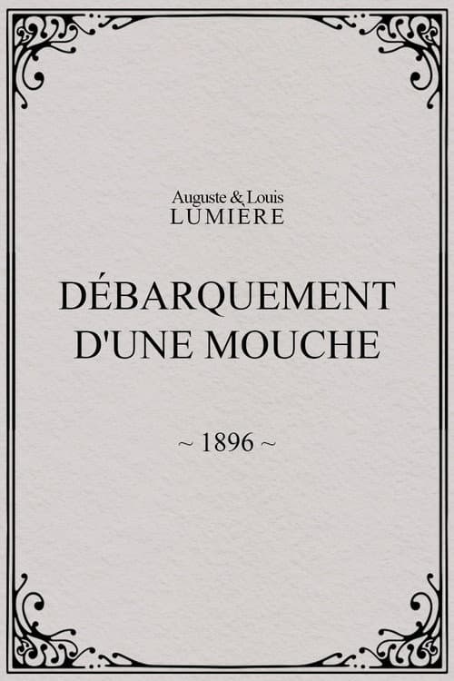 Lyon: Débarquement d'une mouche (1896) poster