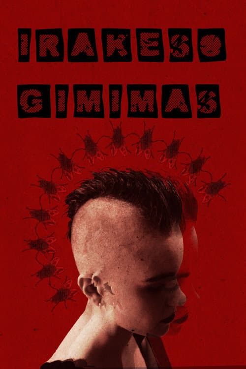 Irakeso Gimimas (2025) poster