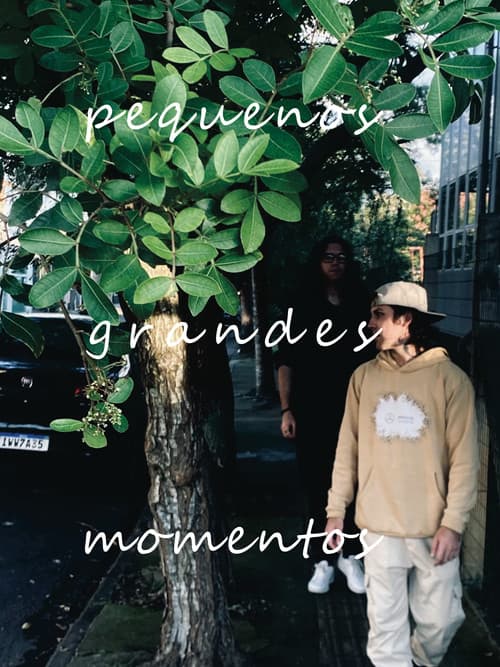 pequenos grandes momentos (2026) poster