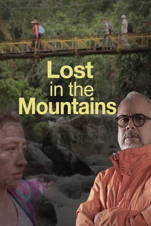 Lost in the Mountains (2018) poster