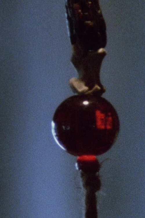 Pan 1 (1974) poster
