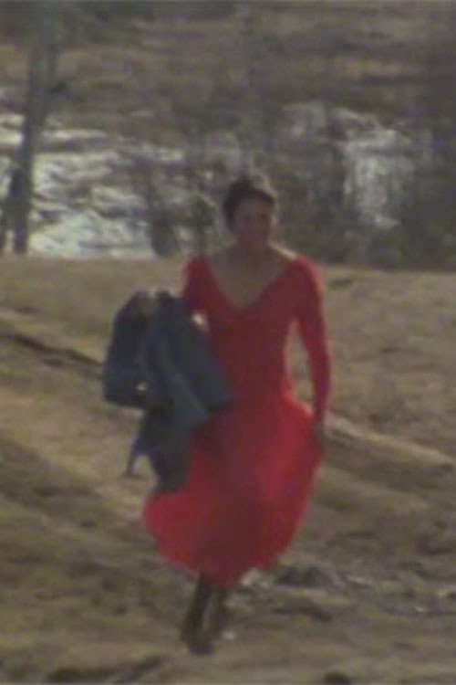 The Red Dress (1978) poster