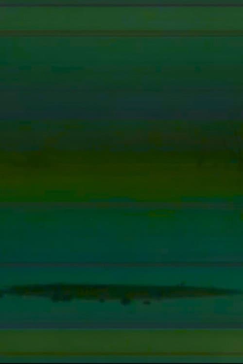 weak signal (2024) poster
