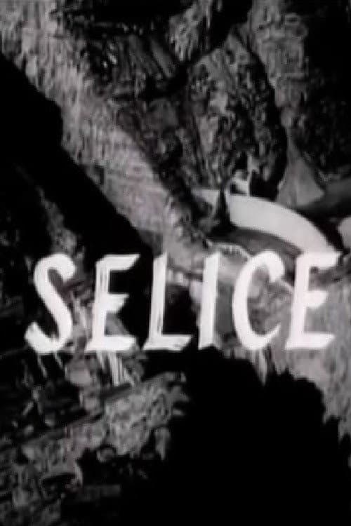 Selice (1965) poster