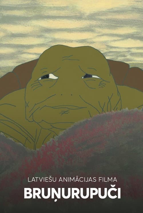 Bruņurupuči (1987) poster