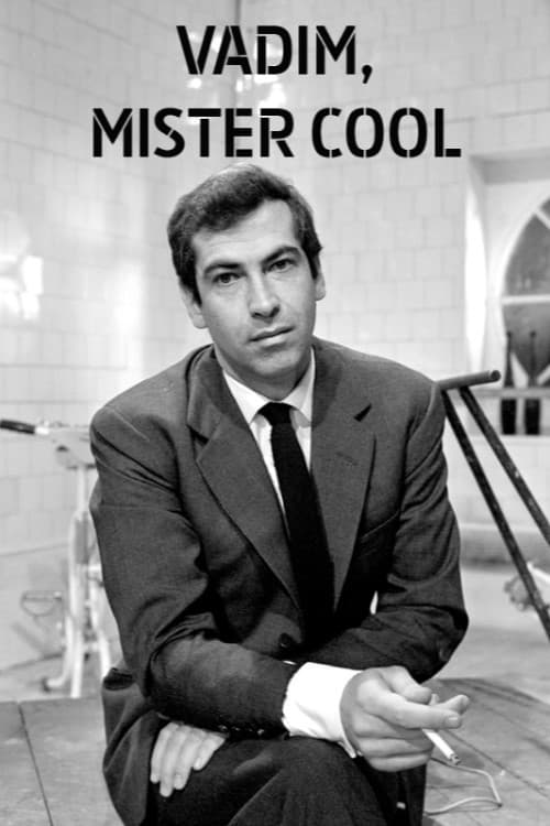 Vadim Mister Cool (2016) poster