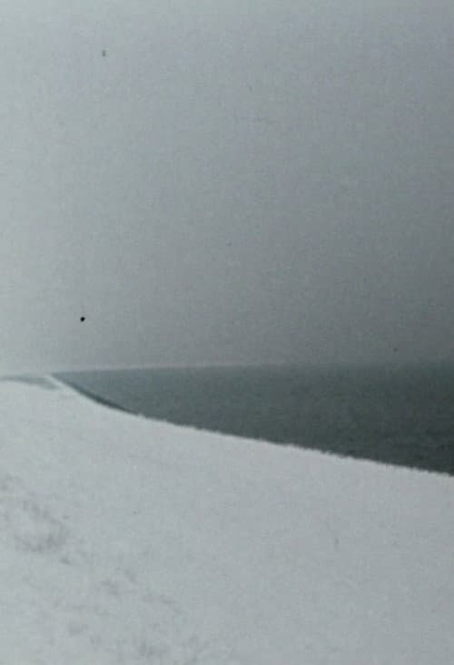 Zufalls-Horizonte (1980) poster