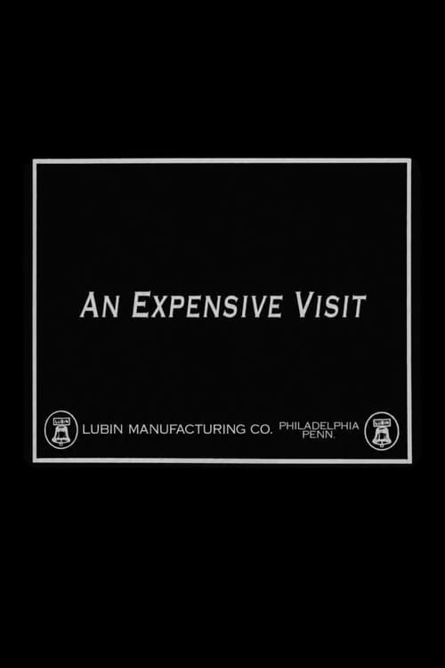An Expensive Visit (1915) poster