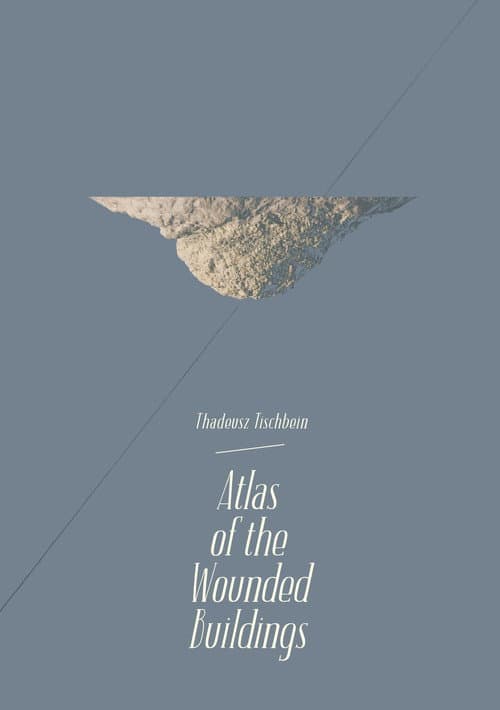 Atlas of the Wounded Buildings (2016) poster