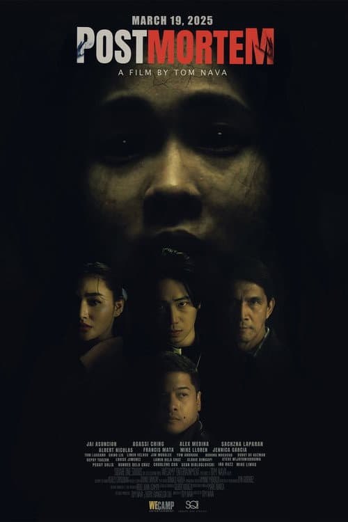 PostMortem (2025) poster