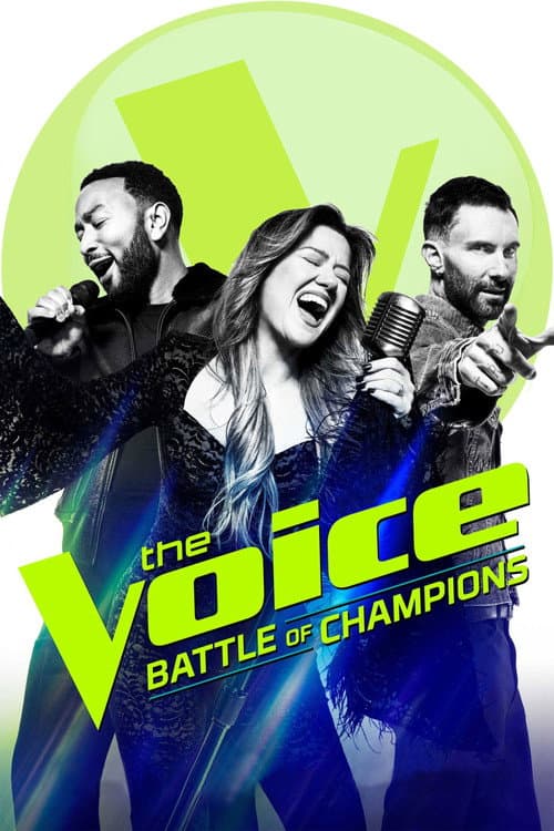 The Voice USA (2011) poster
