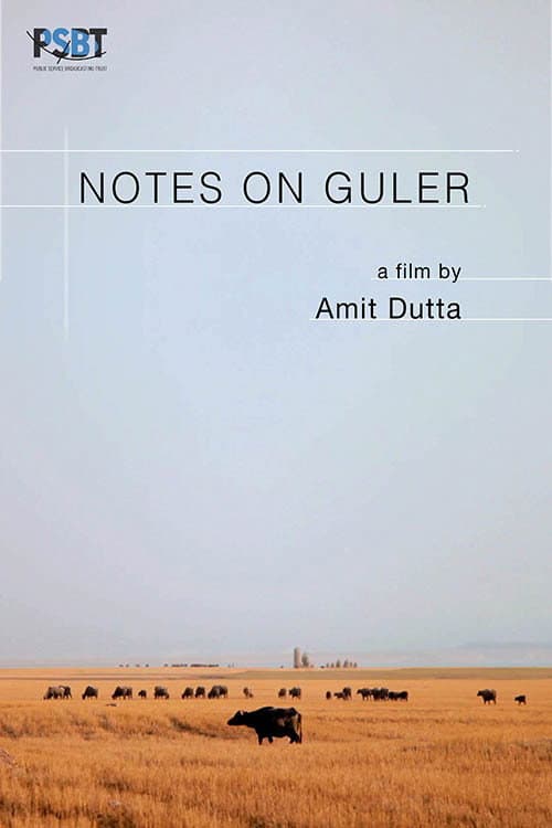 Notes on Guler (2019) poster