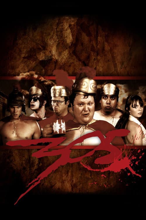 305 (2008) poster