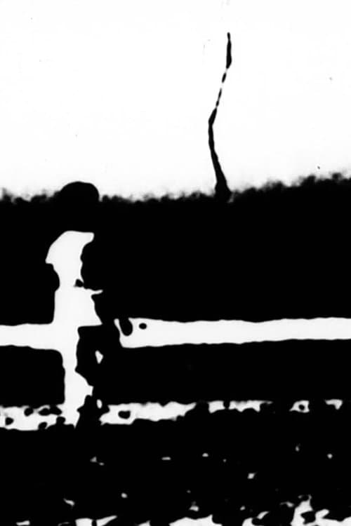 H(i)J (2009) poster