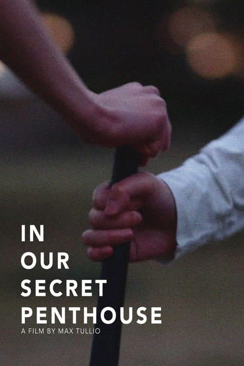 In Our Secret Penthouse (2022) poster