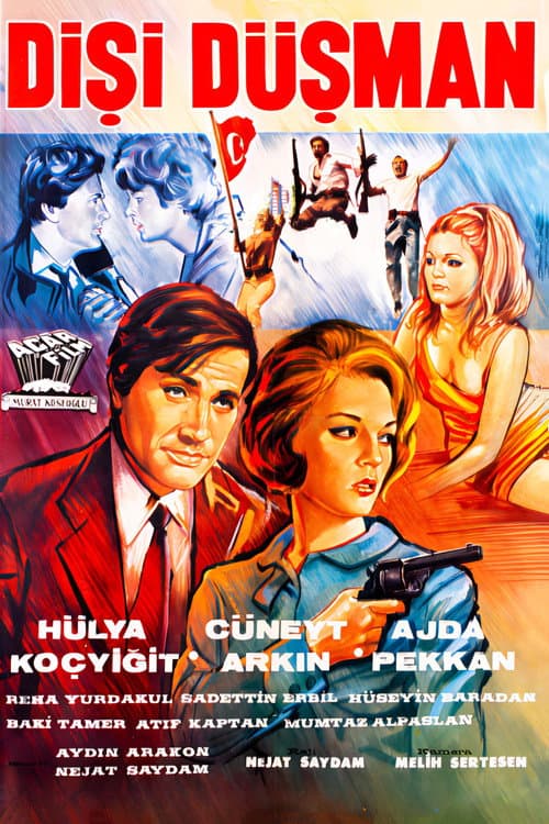 Dişi Düşman (1966) poster