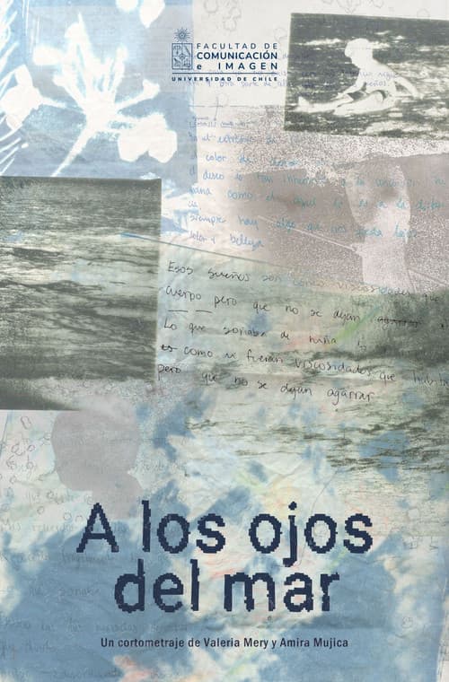 A los ojos del mar (2026) poster