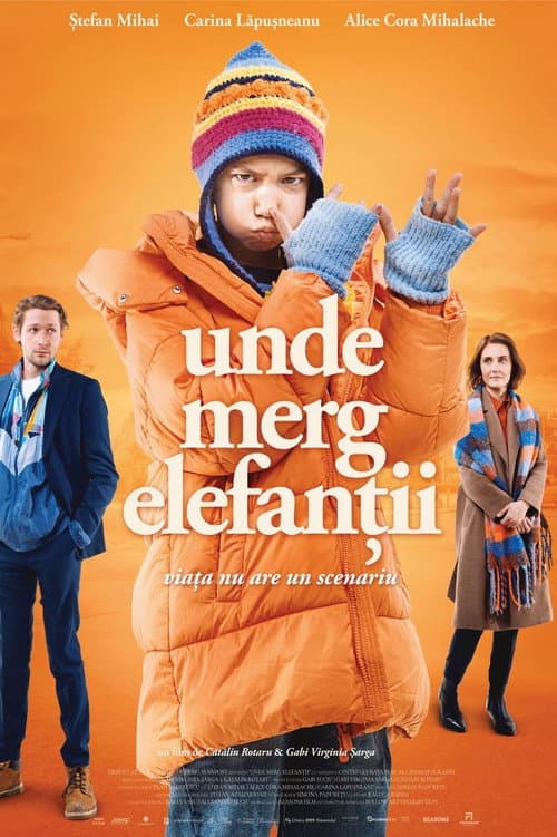 Unde merg elefanții (2024) poster