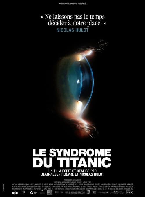 Le Syndrome du Titanic (2009) poster