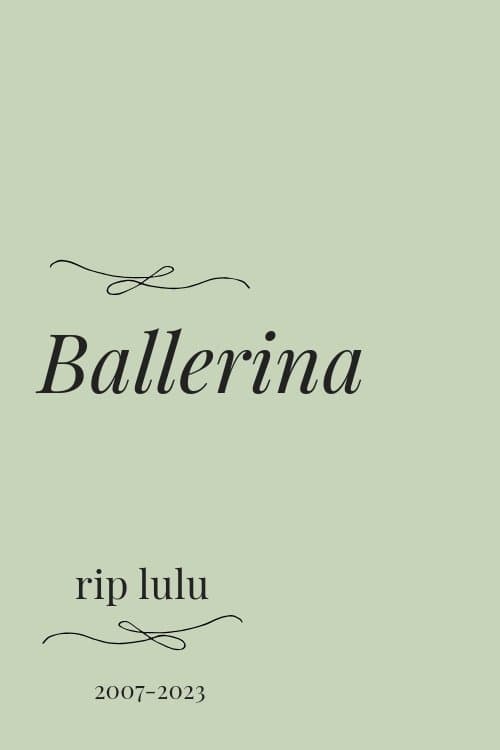 Ballerina (2023) poster