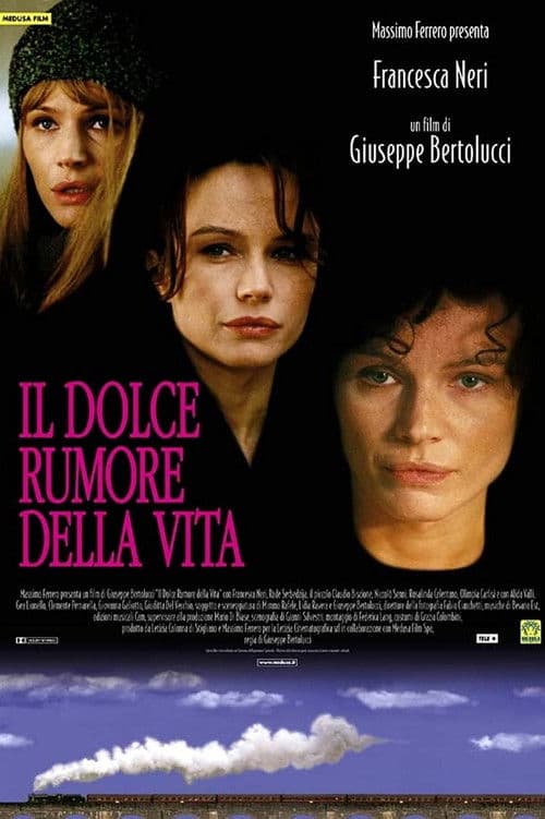 Il dolce rumore della vita (1999) poster